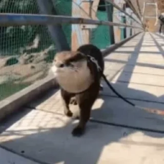 😎