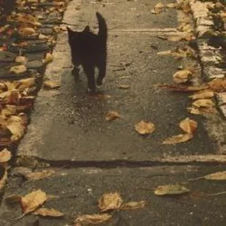 🎀