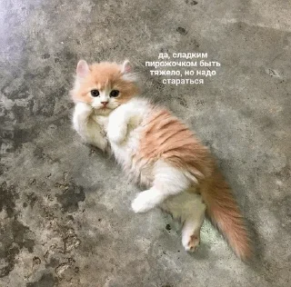 😌