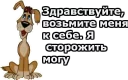 🐶