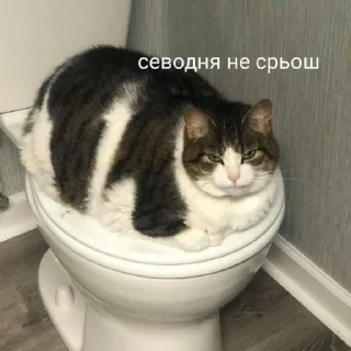 😤