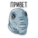 Ждун @TgSticker