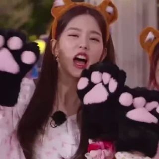 🐯