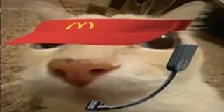 🍟