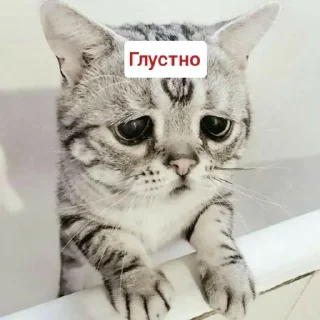 😞