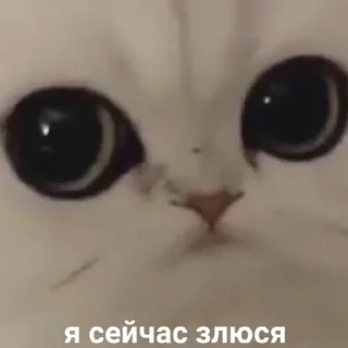 👿
