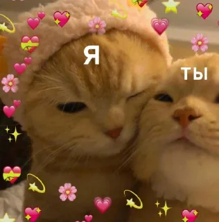 💕