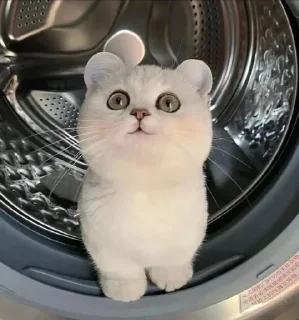 🥰