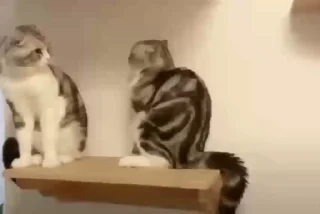 🤨