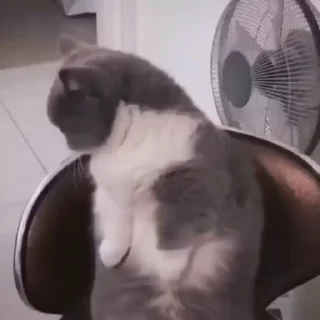 😧
