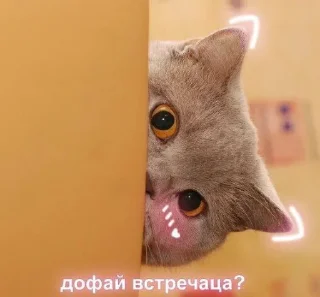 👀