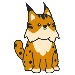 🐅