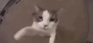 😘