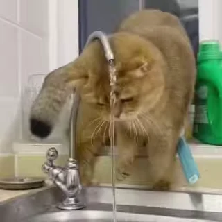 💧