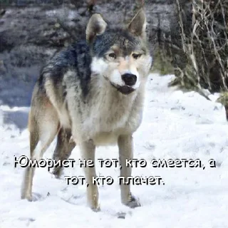 😭