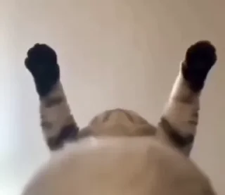 😏