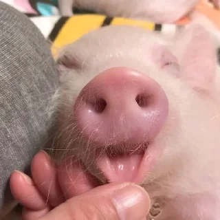 😛