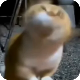 🫨