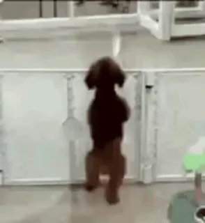 🕺