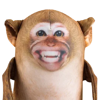 🐵