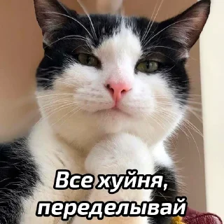 🤣