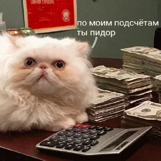 😾