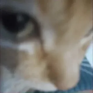 🧐