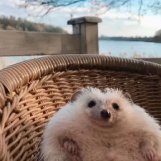 😌