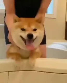 🙂