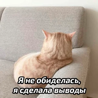 😭