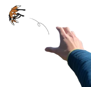 👋