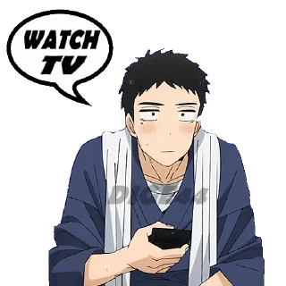 📺
