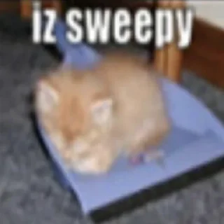 😴