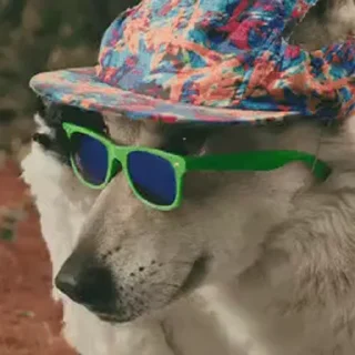 🕶