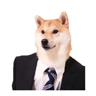 🐶