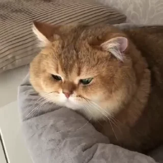 🙄