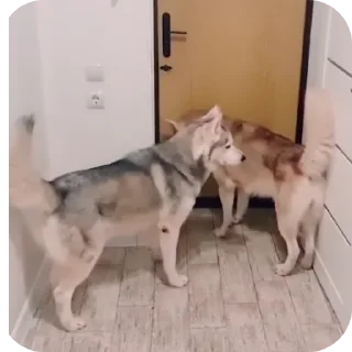 👍
