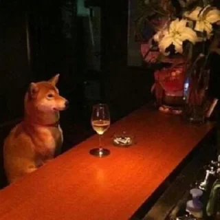 🍷