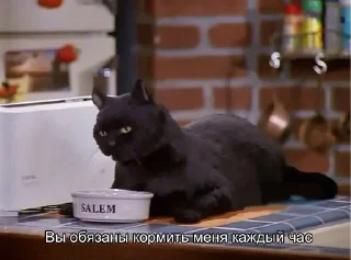 🥘