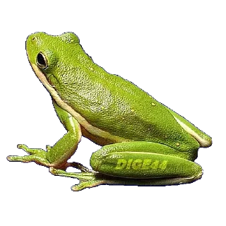 🐸