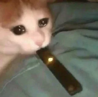 😭