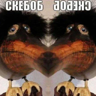 👨‍❤️‍💋‍👨