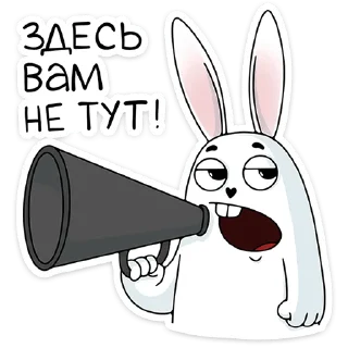 📢