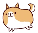 🐶