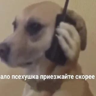 😱