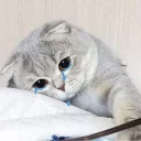 😭