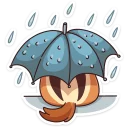 ☂