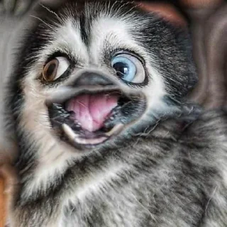 🤓