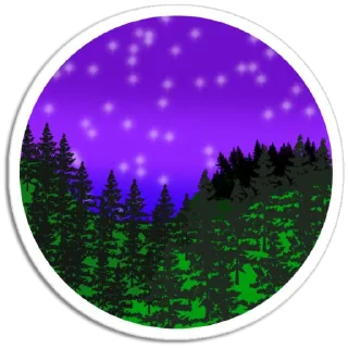 ✨