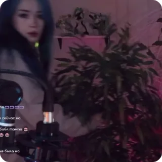 🌲